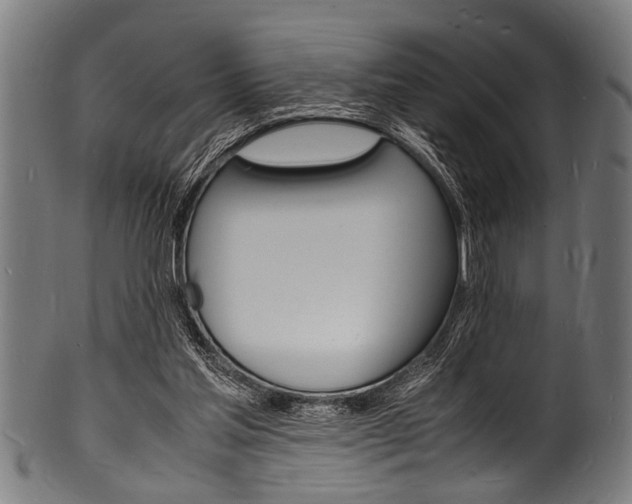 X0000100980205200806241156