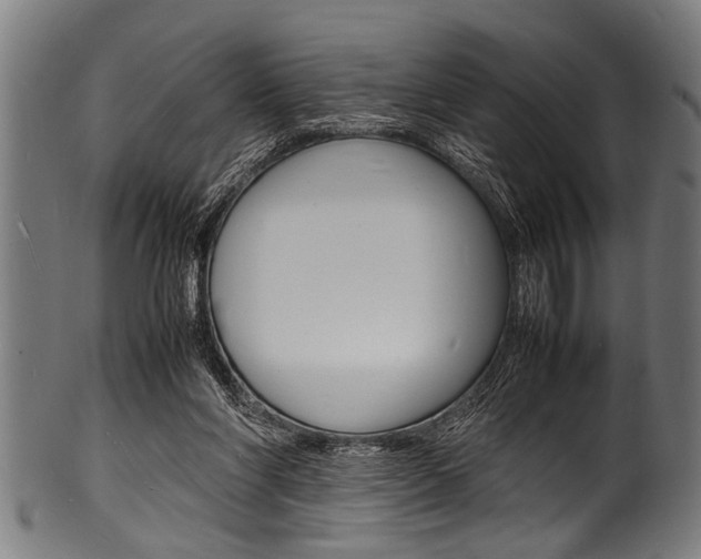 X0000100980206200806241156