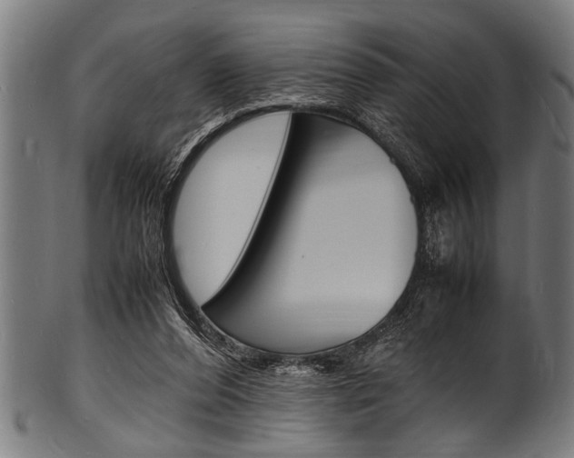 X0000100980208200806241156