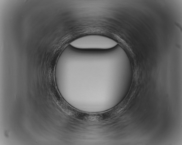X0000100980209200806241156