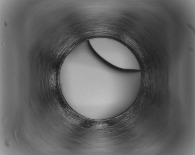 X0000100980210200806241156