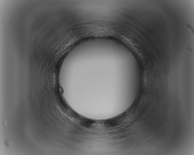 X0000100980211200806241156