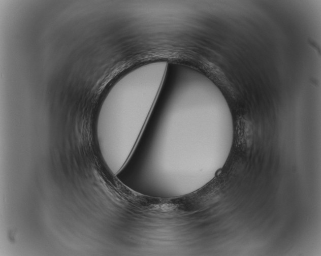 X0000100980212200806241156