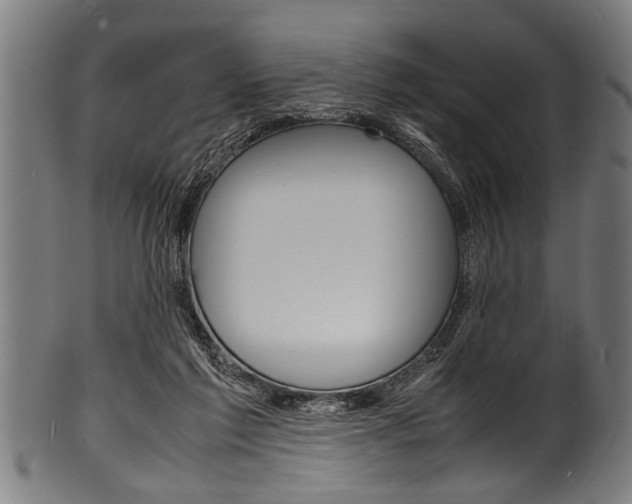 X0000100980213200806241156