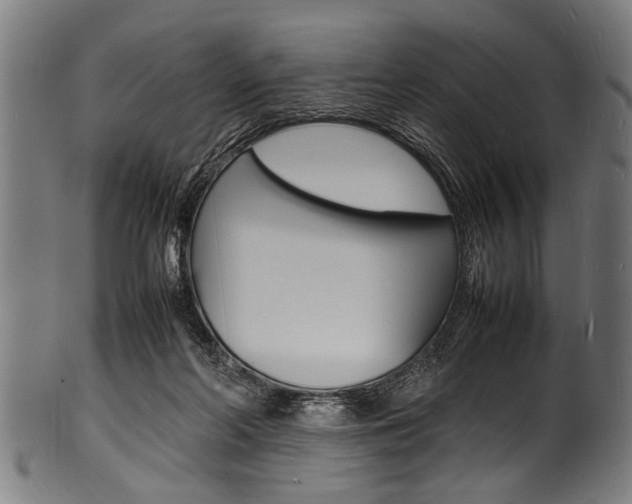 X0000100980214200806241156