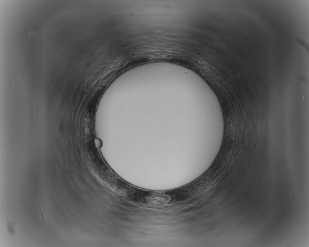 X0000100980215200806241156