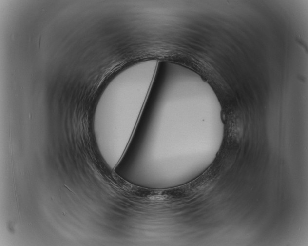 X0000100980216200806241156