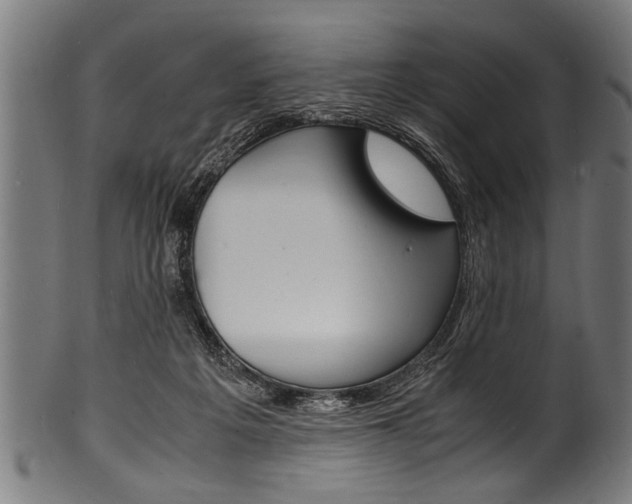X0000100980217200806241156