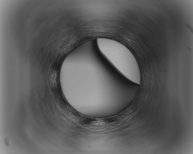 X0000100980219200806241156