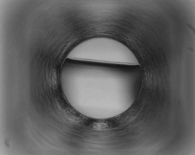 X0000100980220200806241156