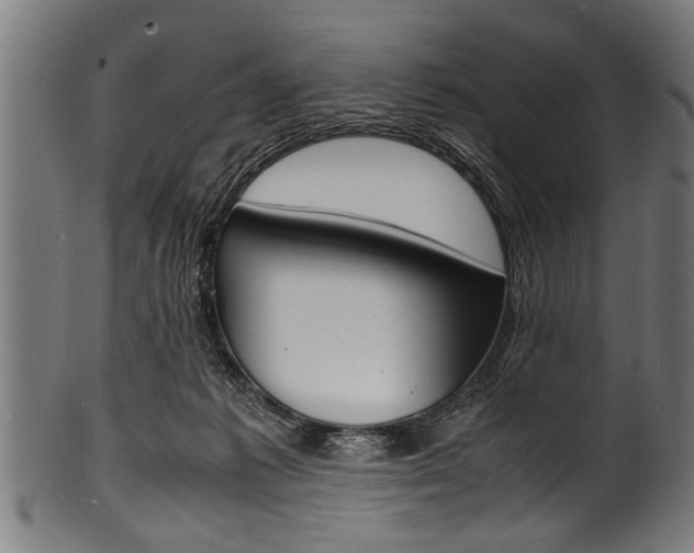 X0000100980221200806241156