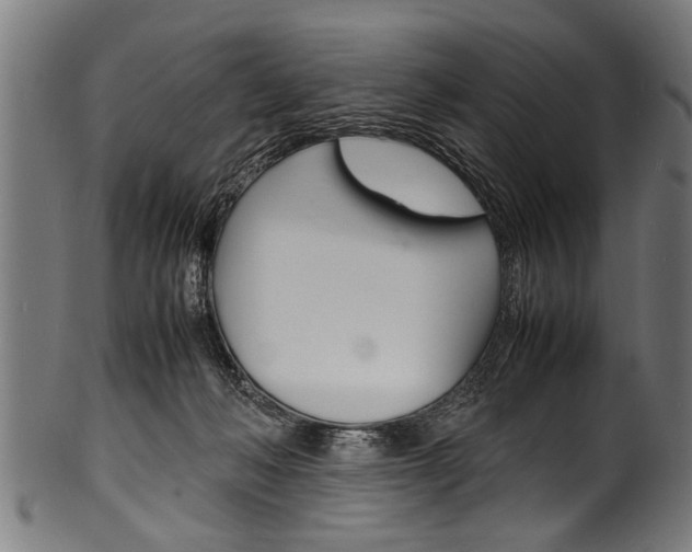 X0000100980222200806241156
