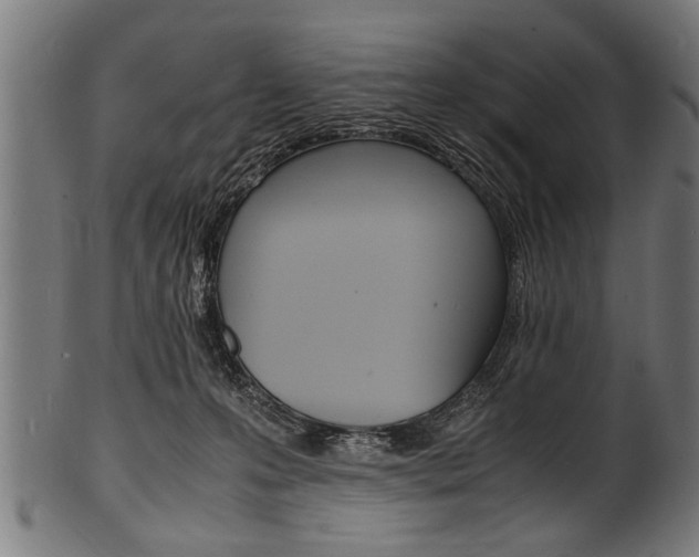 X0000100980223200806241156