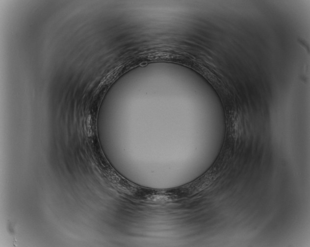 X0000100980224200806241156