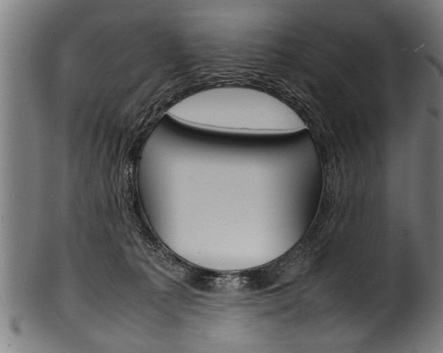 X0000100980225200806241156
