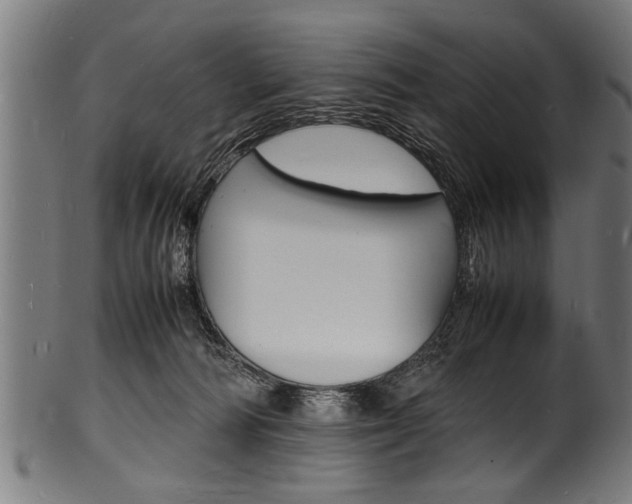 X0000100980226200806241156