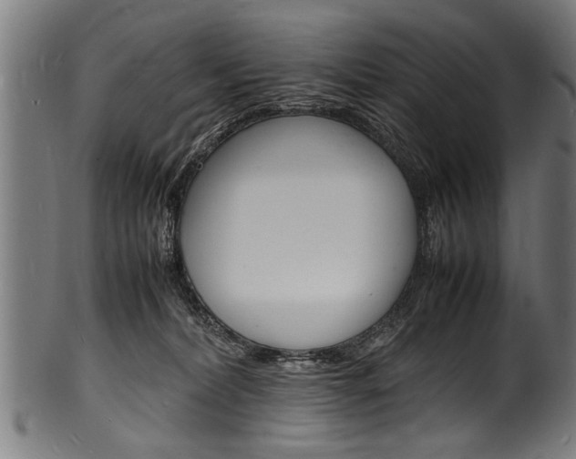 X0000100980228200806241156