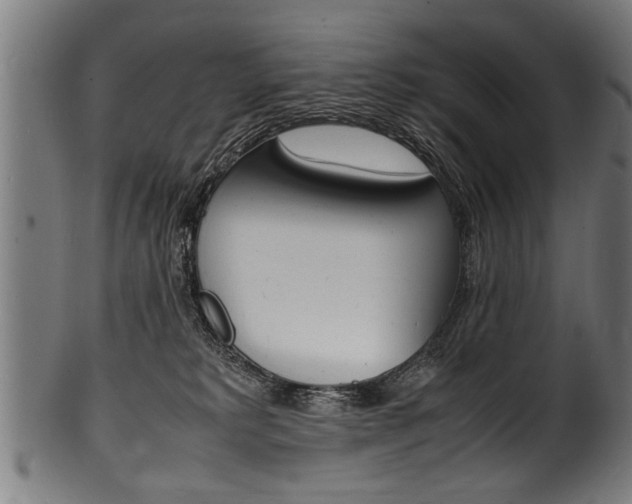X0000100980229200806241156