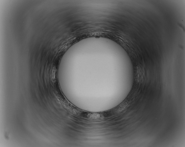 X0000100980230200806241156