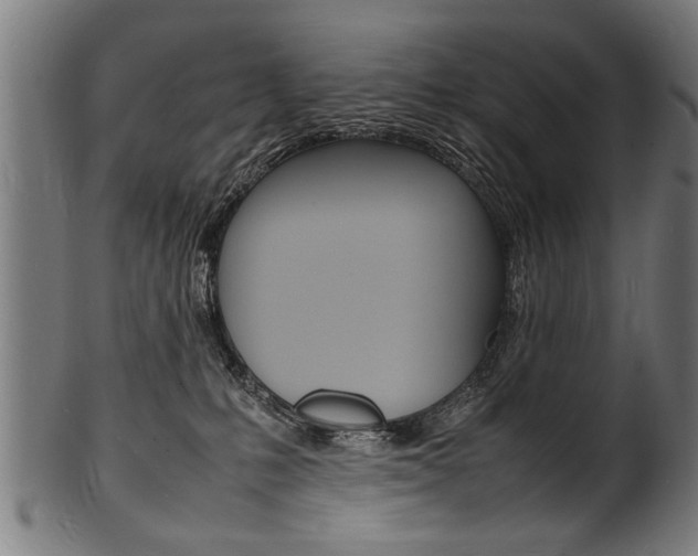 X0000100980231200806241156
