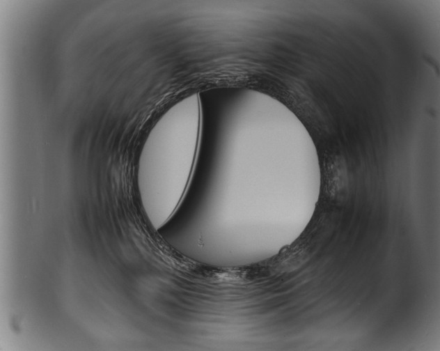 X0000100980232200806241155