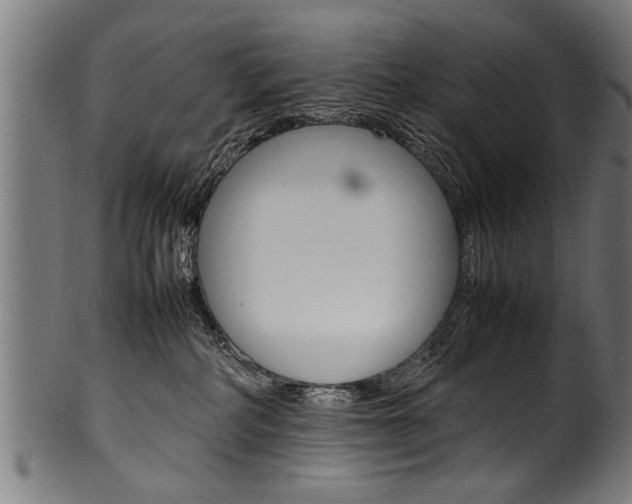 X0000100980234200806241155