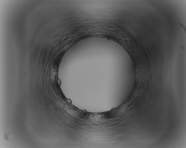 X0000100980235200806241155