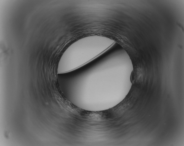 X0000100980236200806241155