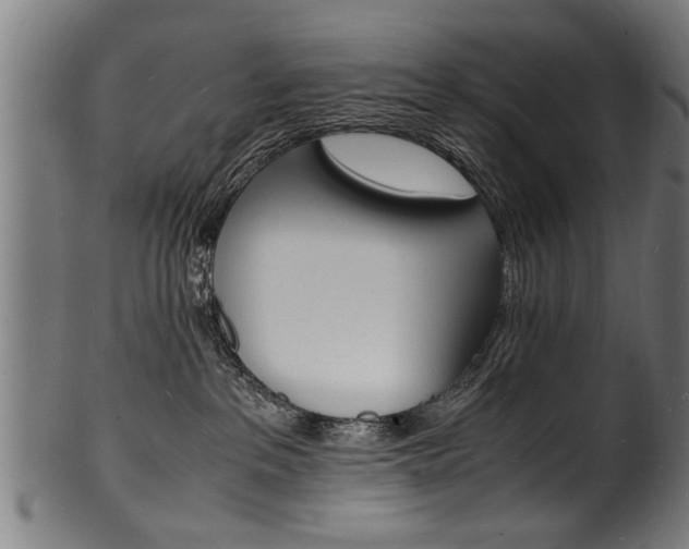 X0000100980237200806241155