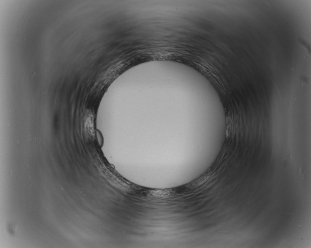 X0000100980238200806241155