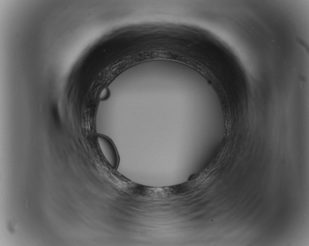 X0000100980239200806241155