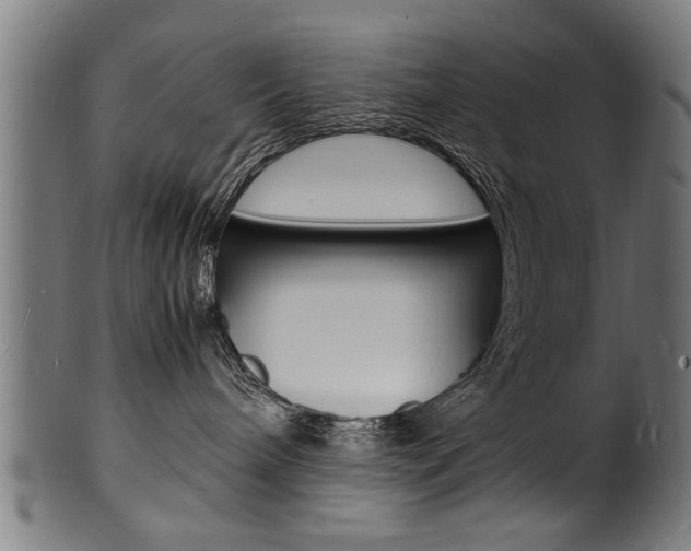 X0000100980240200806241155