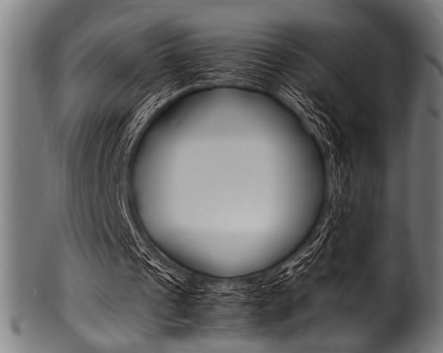 X0000100980241200806241155