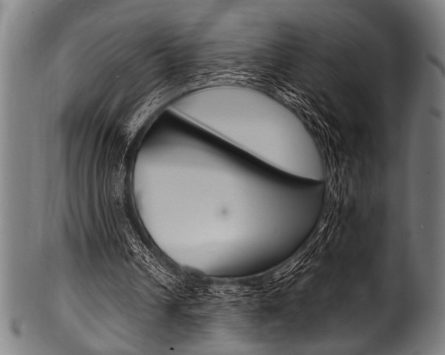 X0000100980242200806241155