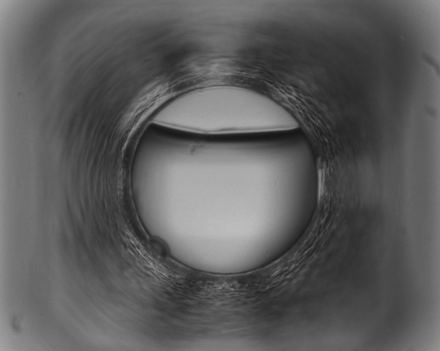X0000100980243200806241155