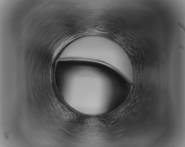 X0000100980244200806241155