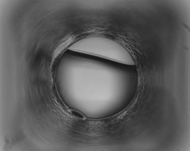X0000100980245200806241155