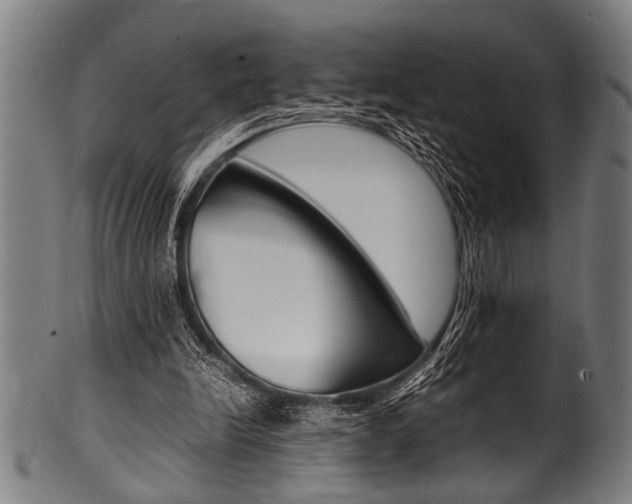 X0000100980246200806241155