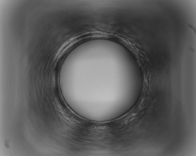 X0000100980247200806241155