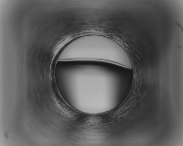 X0000100980248200806241155