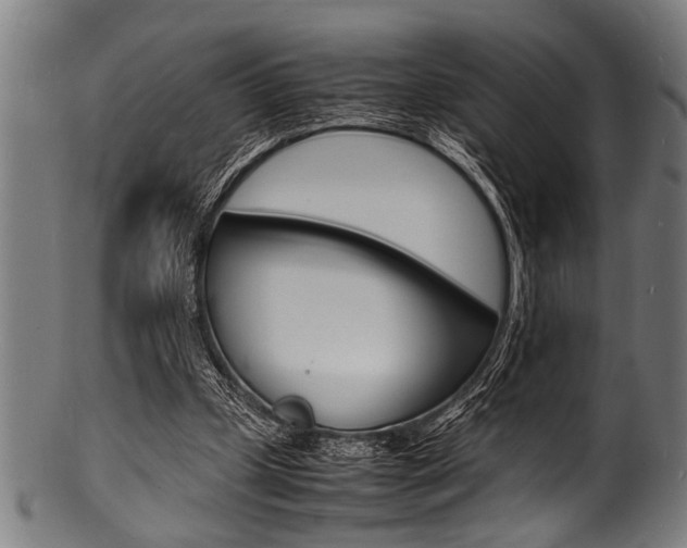 X0000100980249200806241155