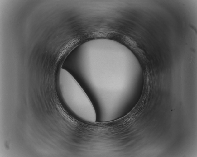 X0000100980250200806241155