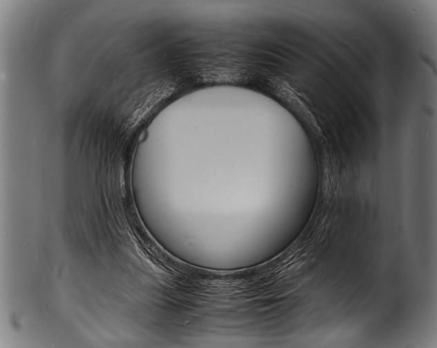 X0000100980251200806241155