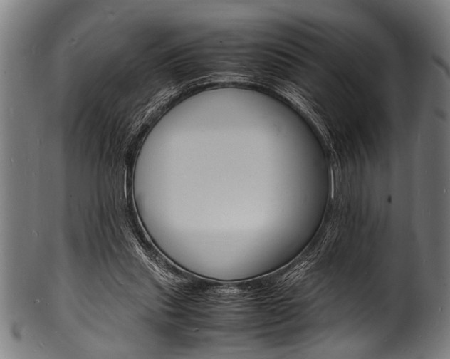 X0000100980253200806241155
