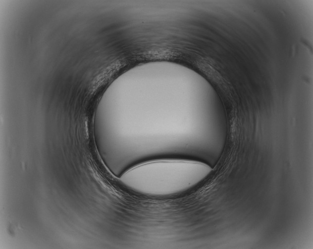 X0000100980254200806241155