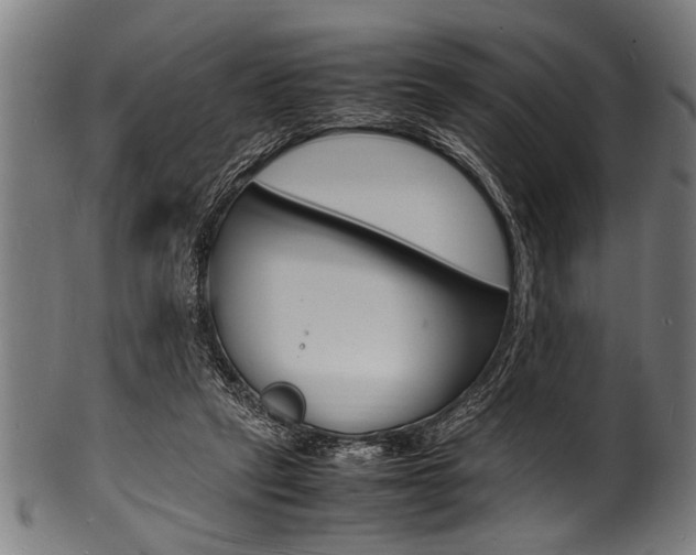 X0000100980257200806241155