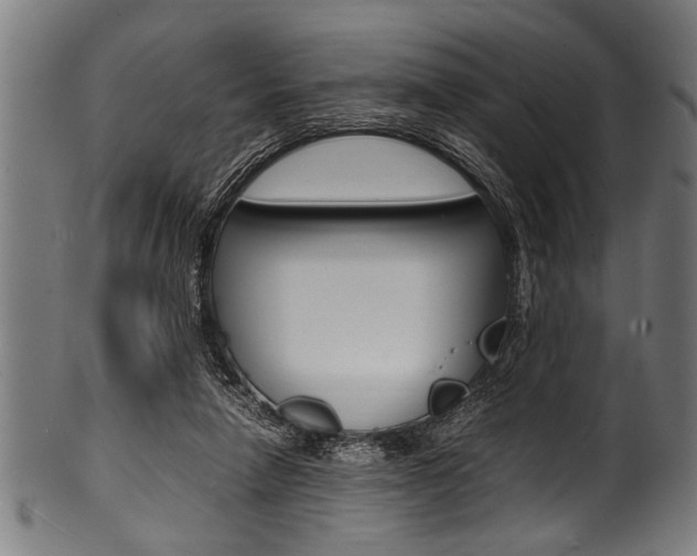 X0000100980258200806241155