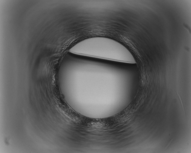 X0000100980259200806241155