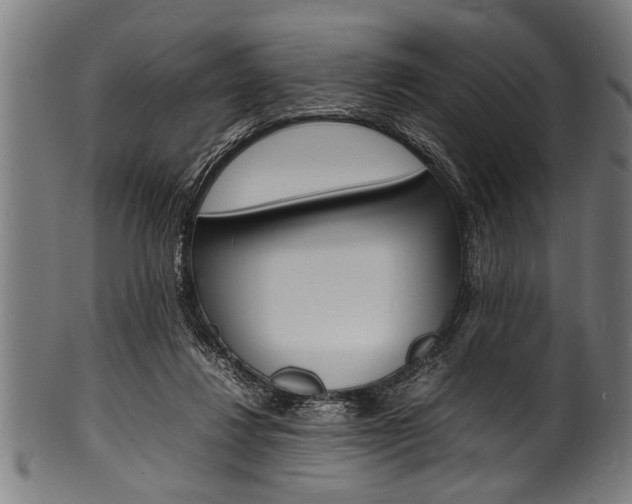 X0000100980260200806241155