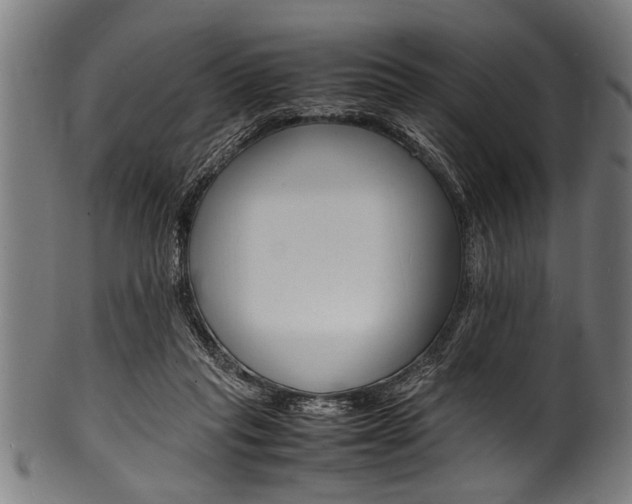 X0000100980261200806241155